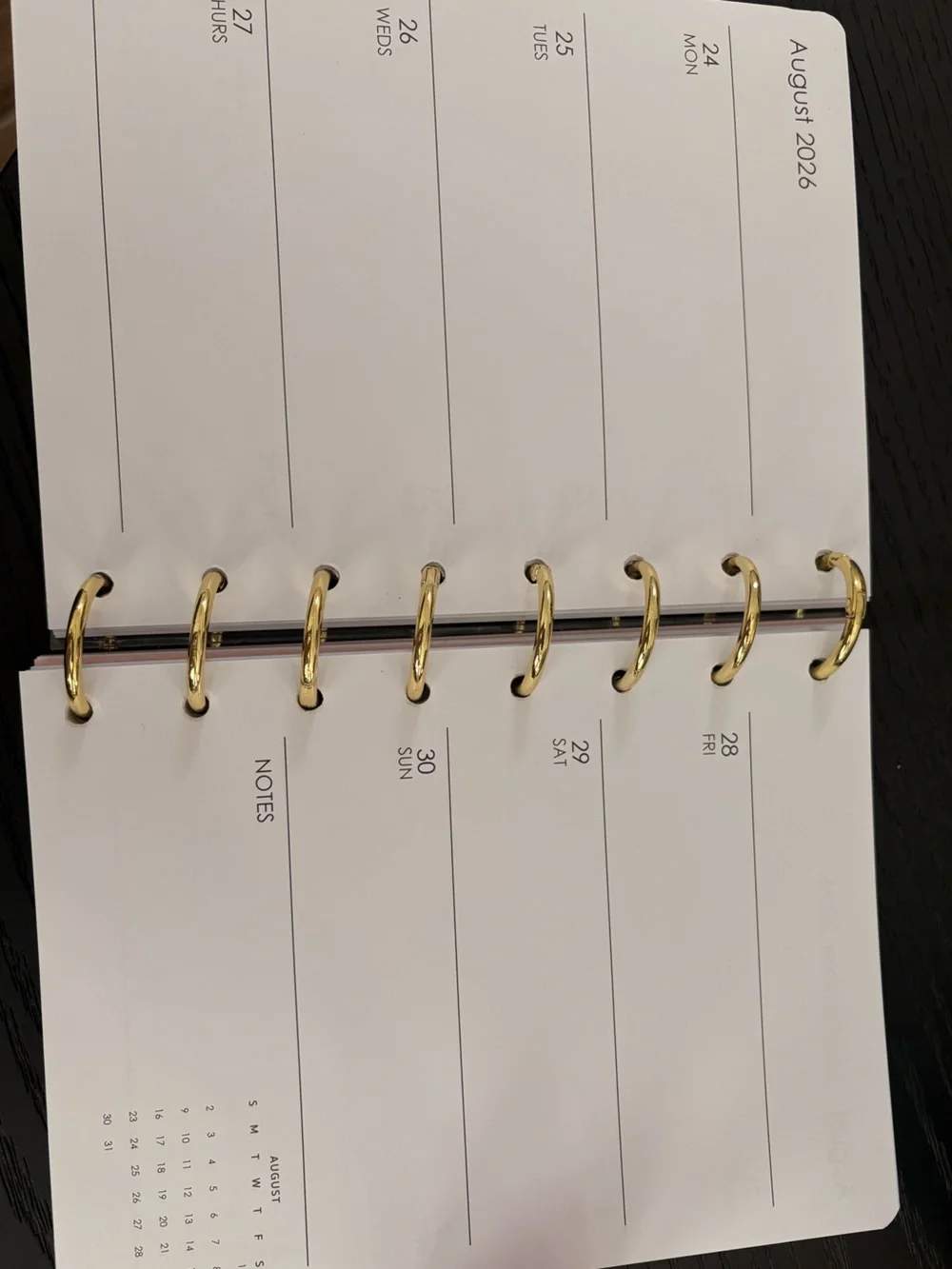 Tahari Blush Pink Weekly Planner with Gold Discs - New